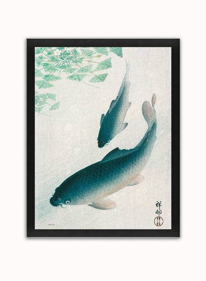 Koi Carp by Ohara Koson 1926 Japenese Poster Art Print Print – Ohara Koson Vintage Poster Wall Art 30x40cm Black Frame