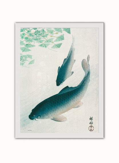 Koi Carp by Ohara Koson 1926 Japenese Poster Art Print Print – Ohara Koson Vintage Poster Wall Art 30x40cm White Frame