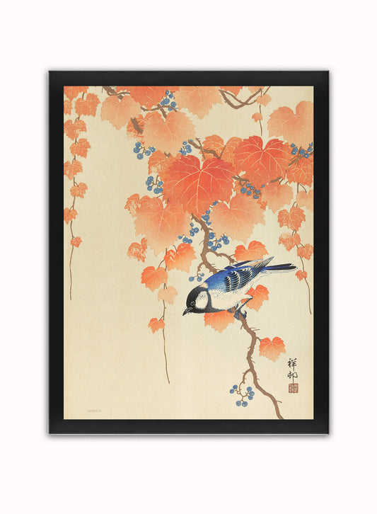 Great Tit on Paulownia Beach by Ohara Koson 1900 - 1945 Japenese Poster Art Print Print – Ohara Koson Vintage Poster Wall Art 30x40cm Black Frame