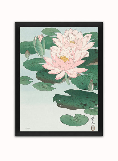 Water Lily by Ohara Koson 1900 - 1945 Japenese Poster Art Print Print – Ohara Koson Vintage Poster Wall Art 30x40cm Black Frame