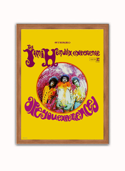 Jimi Hendrix are you experienced Vintage Art Wall Art Print Dark Wood