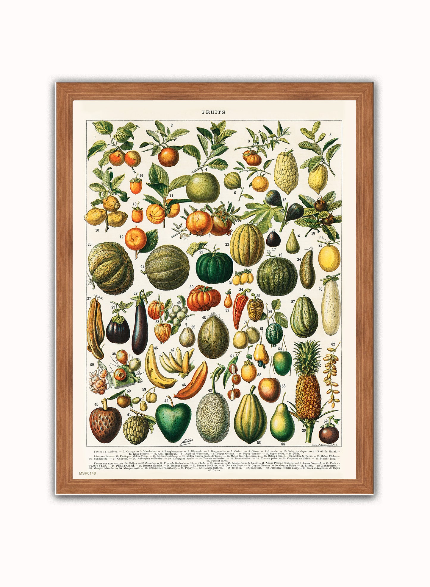Illustration of Fruit is a drawing by Adolphe Philippe Millot Print – Adolphe Philippe Millot Vintage Art Wall Art 30x40cm Dark Wood