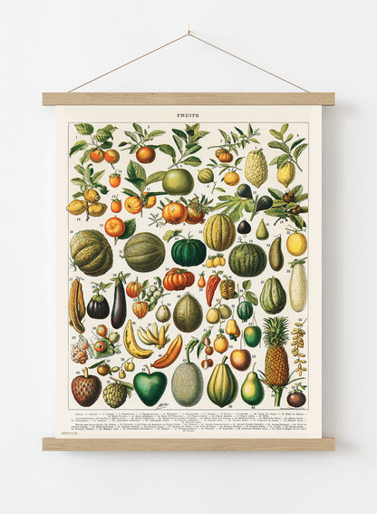 Illustration of Fruit is a drawing by Adolphe Philippe Millot Print – Adolphe Philippe Millot Vintage Art Wall Art 30x40cm Hanger