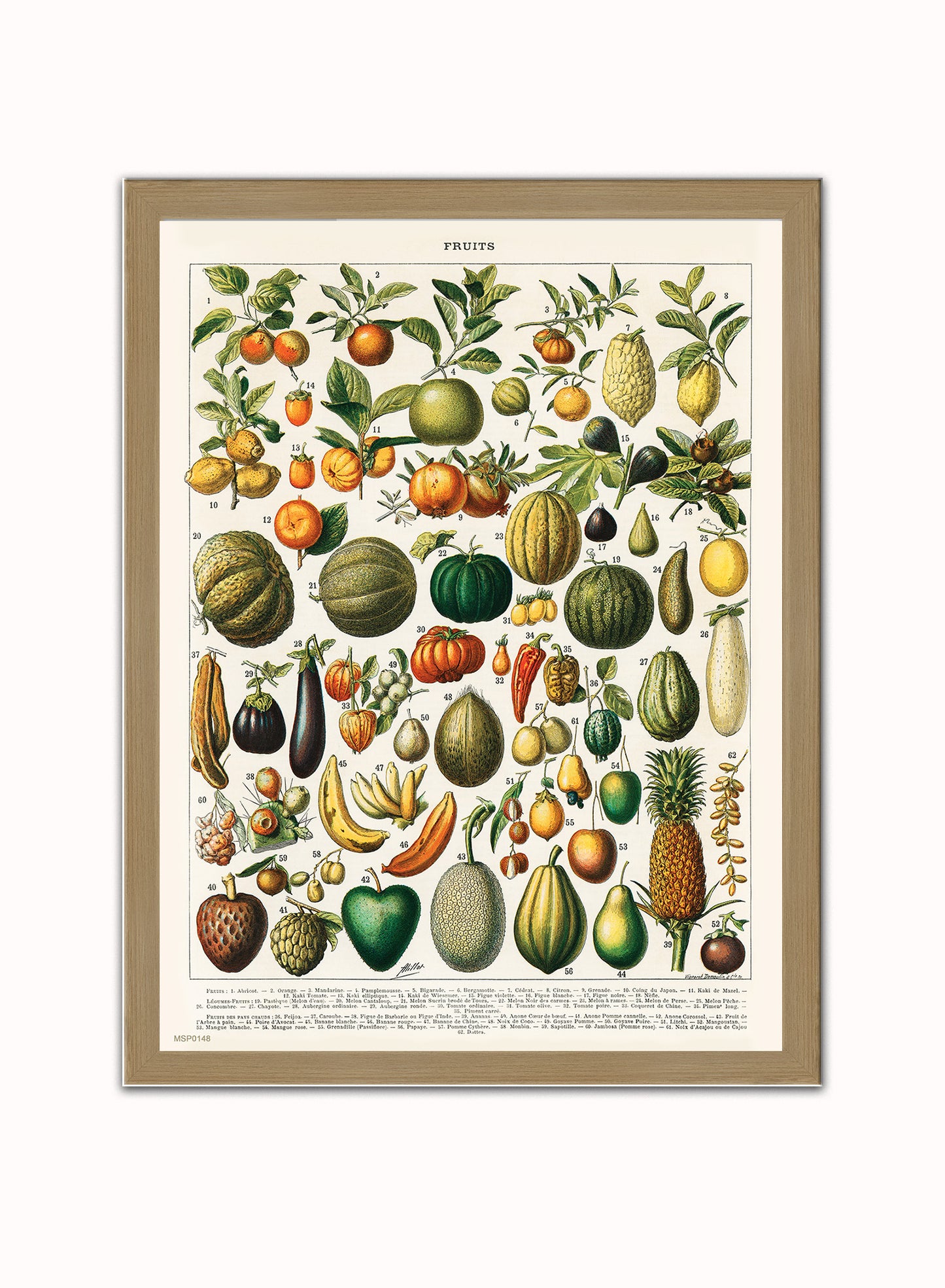 Illustration of Fruit is a drawing by Adolphe Philippe Millot Print – Adolphe Philippe Millot Vintage Art Wall Art 30x40cm Light Wood