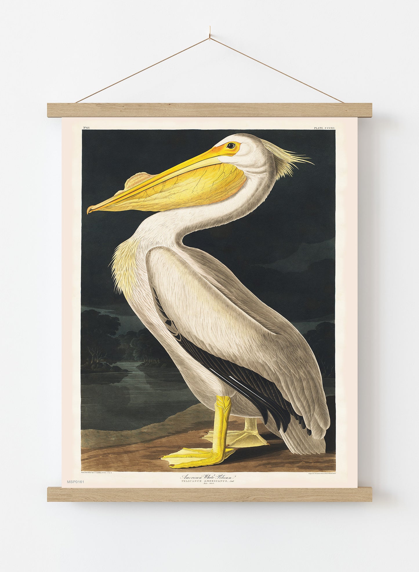American White Pelican Bird John James Audubon Wall Vintage Art Wall Art Print 30x40cm Hanger