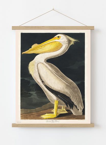 American White Pelican Bird John James Audubon Wall Vintage Art Wall Art Print 30x40cm Hanger