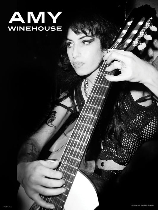 Amy Winehouse Poster Art Print 30x40m