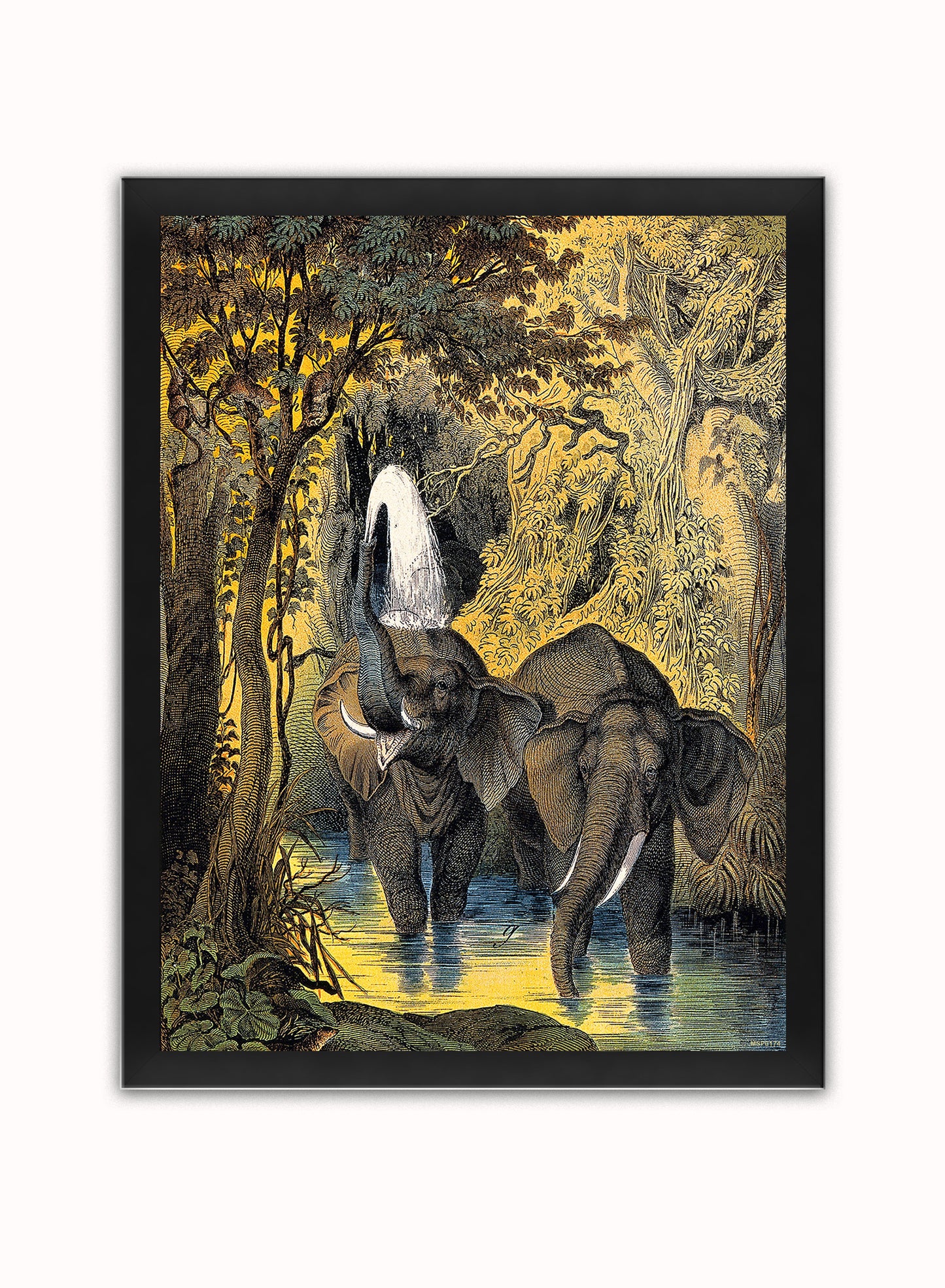 Two elephants bathing in a stream by Adam White 30x40cm Art Poster Print Black Frame