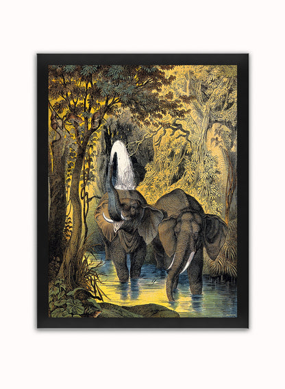 Two elephants bathing in a stream by Adam White 30x40cm Art Poster Print Black Frame