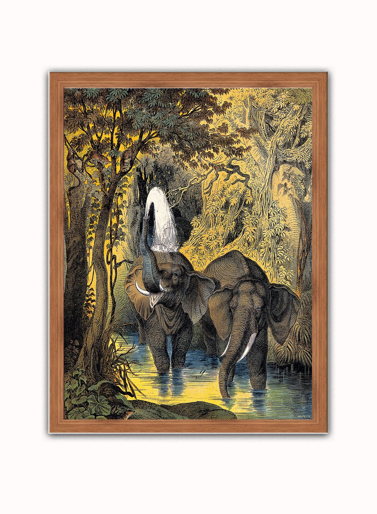 Two elephants bathing in a stream by Adam White 30x40cm Art Poster Print Dark Wood