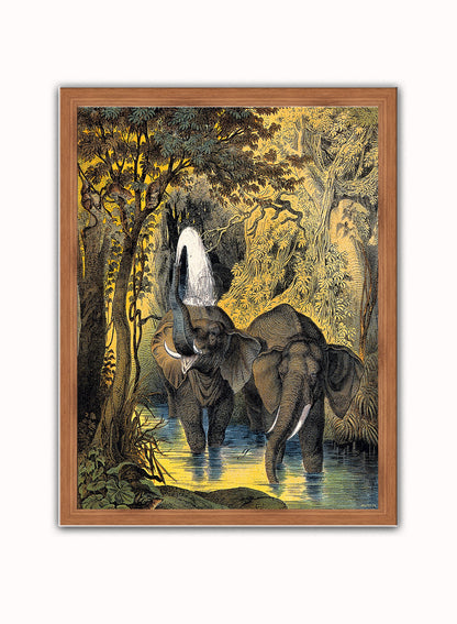 Two elephants bathing in a stream by Adam White 30x40cm Art Poster Print Dark Wood