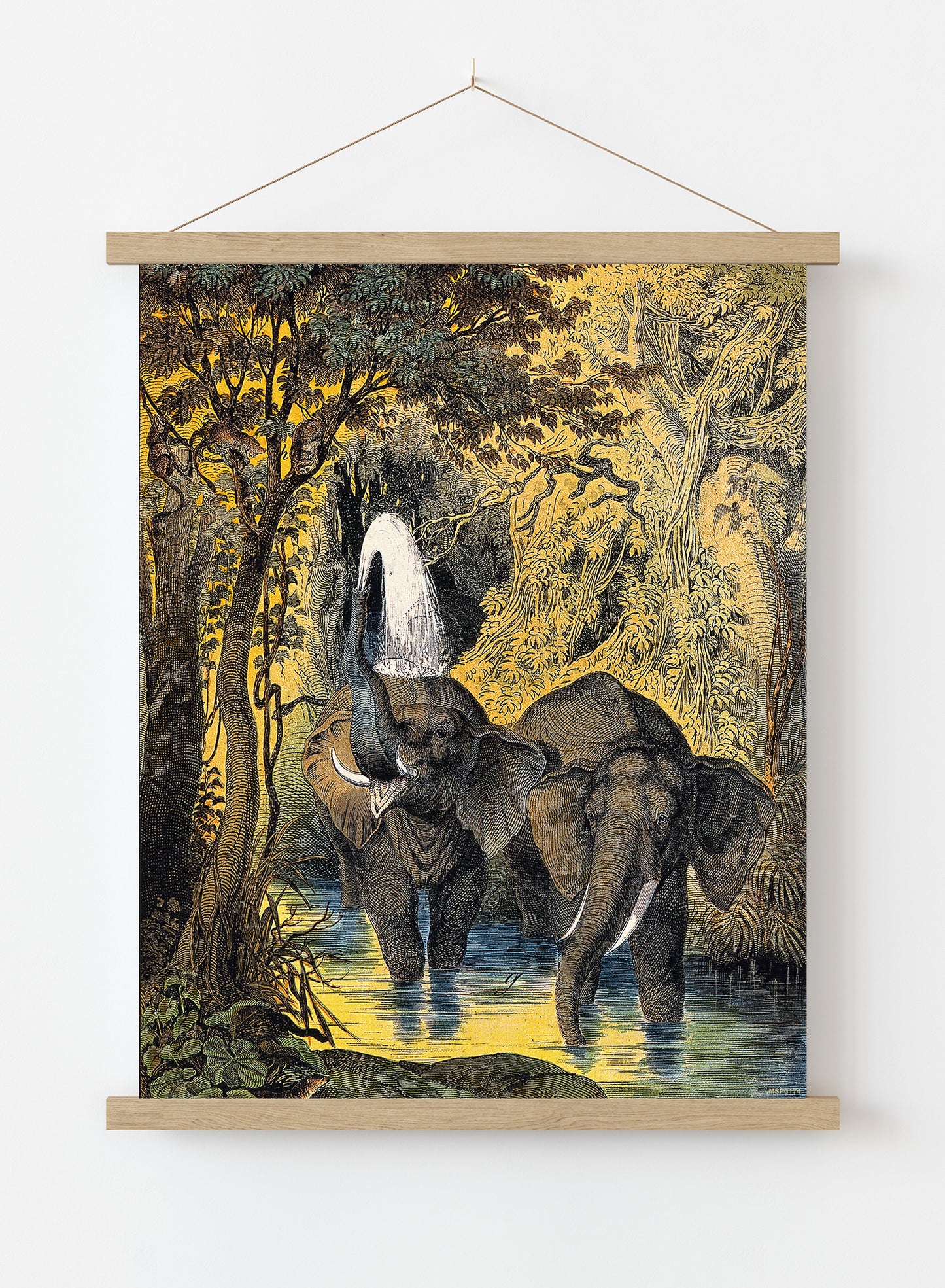 Two elephants bathing in a stream by Adam White 30x40cm Art Poster Print Hanger