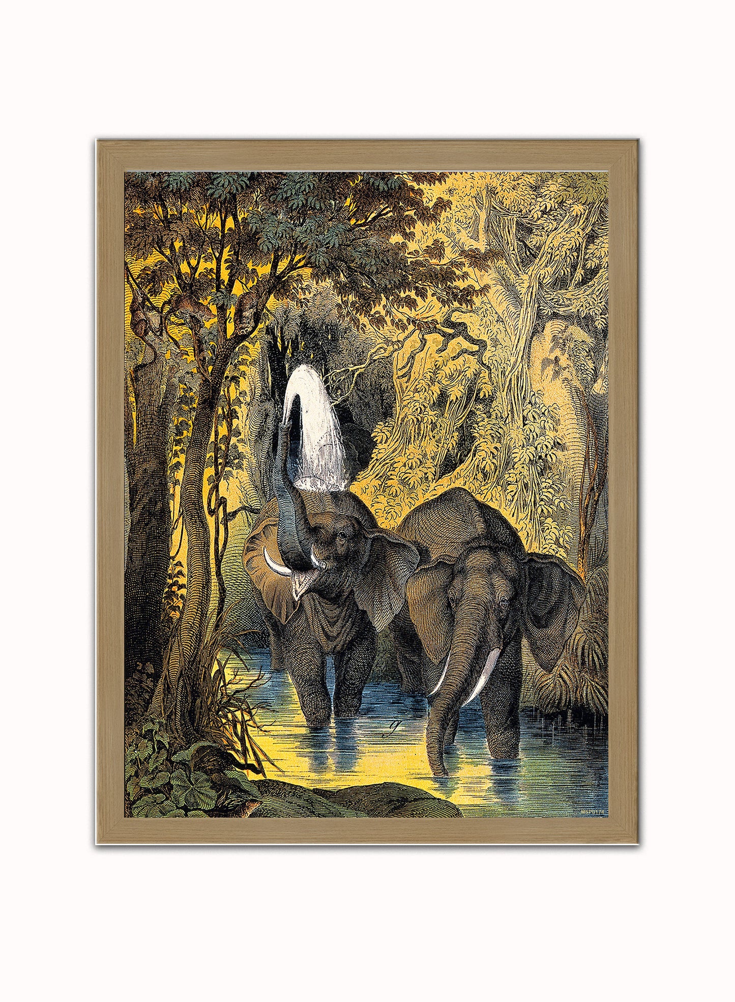 Two elephants bathing in a stream by Adam White 30x40cm Art Poster Print Light Wood