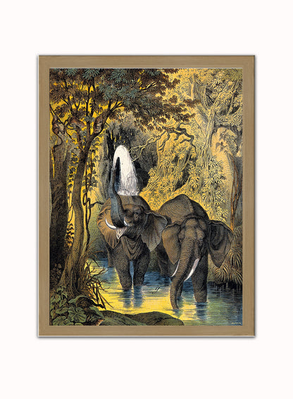 Two elephants bathing in a stream by Adam White 30x40cm Art Poster Print Light Wood
