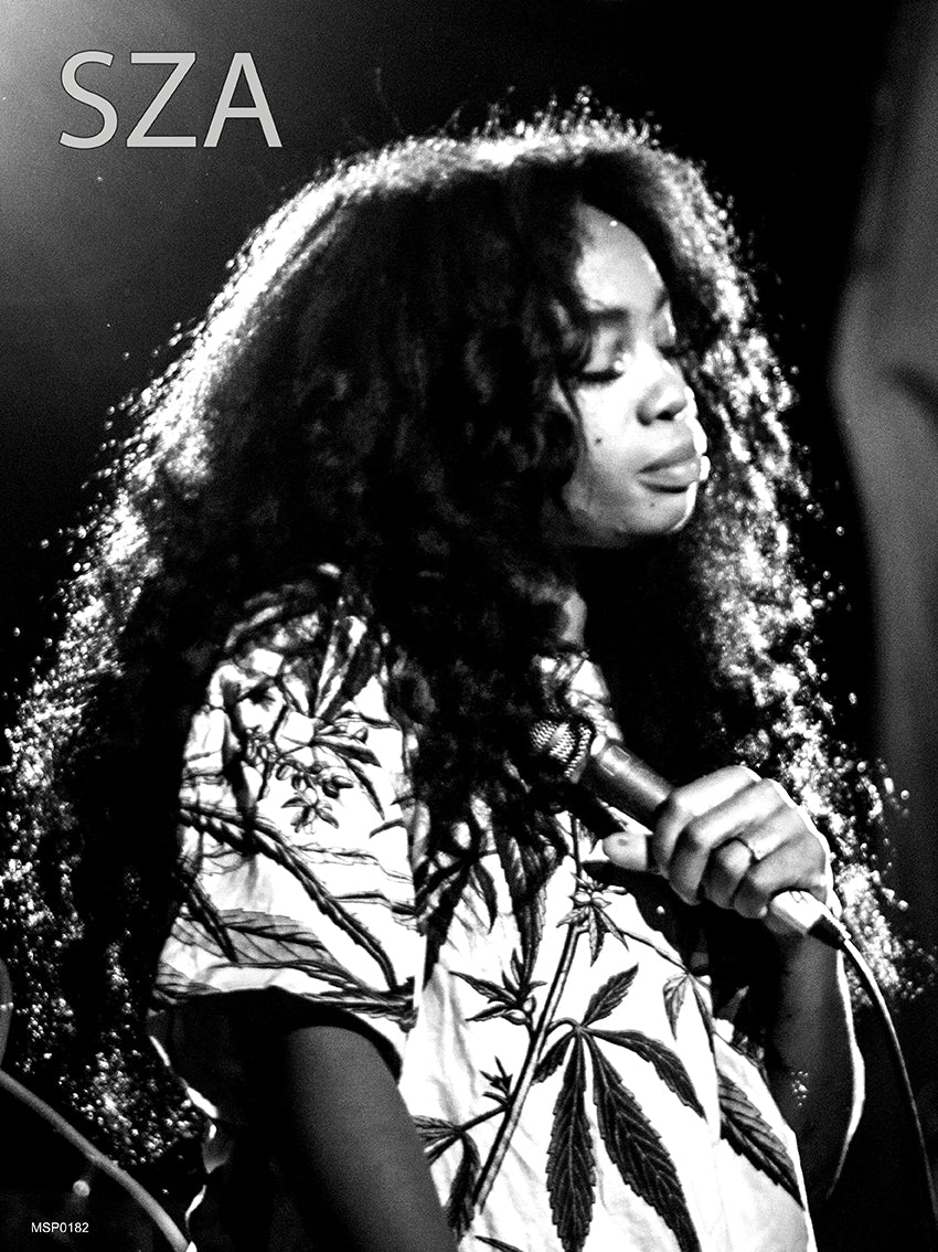 Photo of American R&B singer SZA (Solána Imani Rowe) 2014 Poster Art Print 30x40m Vintage Photo Wall Art Print