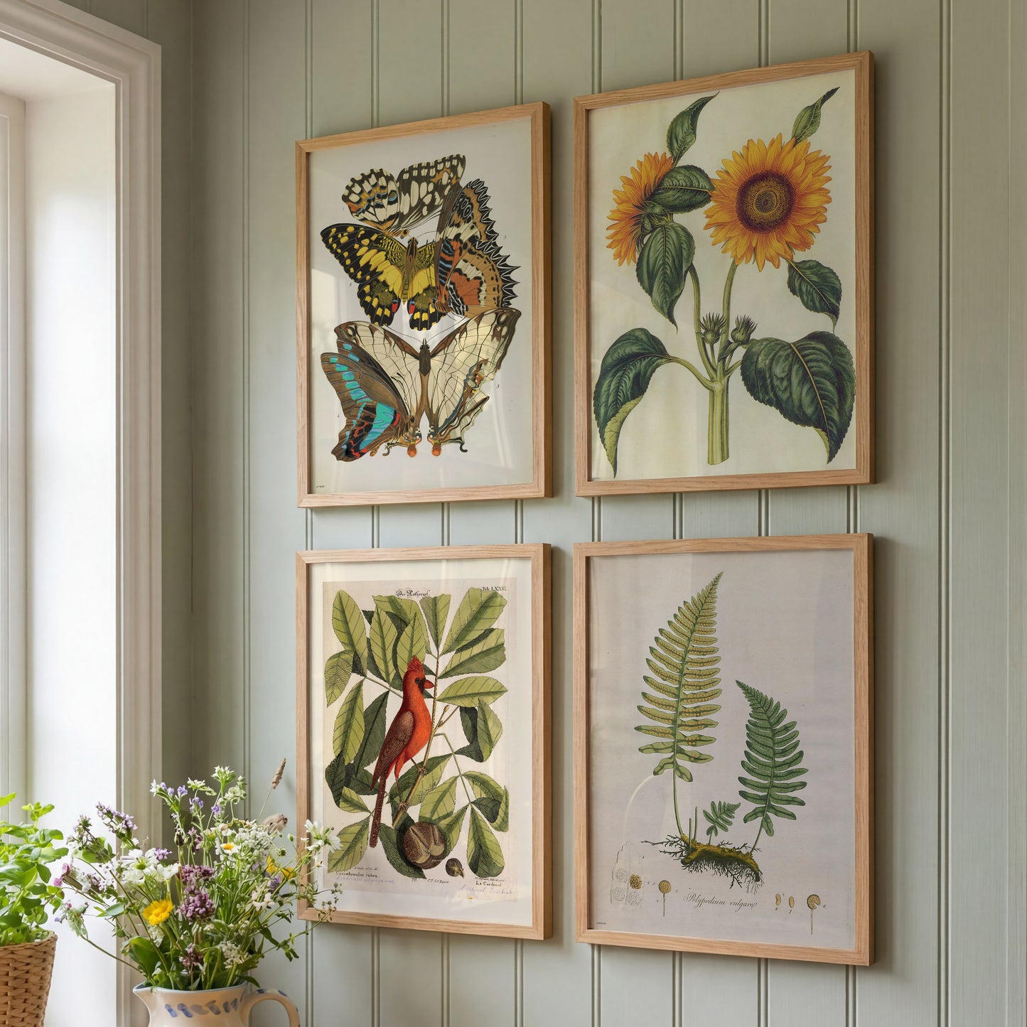 Botanical & Natural History Wall Art Set of 4 – Framed Vintage Prints 50x70cm