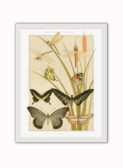 Botanical Print – Maurice Pillard Verneuil. Botanical Wall Art 30x40cm White Frame