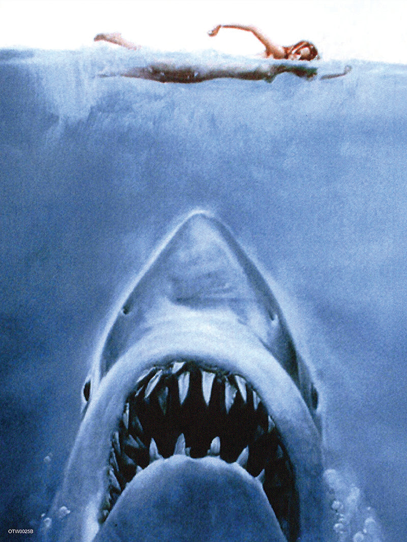 Jaws Book Cover Poster Art Print 30x40cm