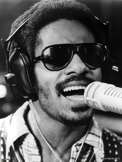 Stevie Wonder 1973 Poster Art Print 30x40m
