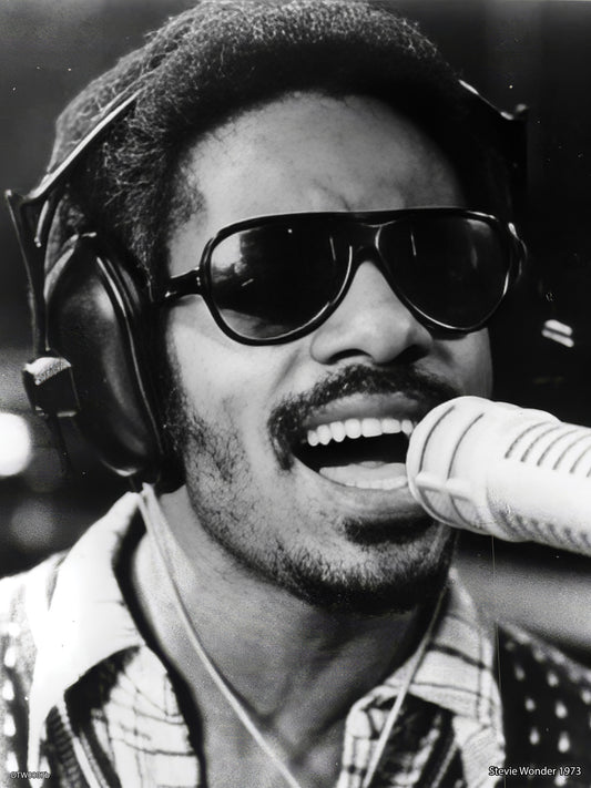Stevie Wonder 1973 Poster Art Print 30x40m
