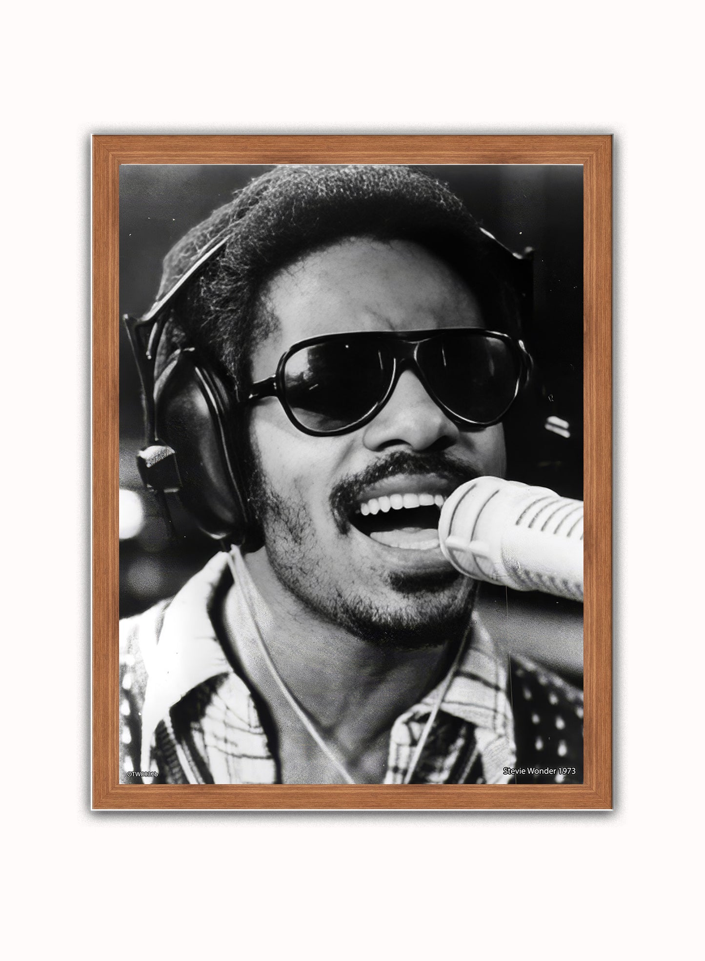 Stevie Wonder 1973 Poster Art Print 30x40m Vintage Poster Wall Art Print Dark Wood