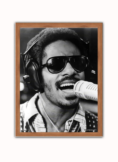 Stevie Wonder 1973 Poster Art Print 30x40m Vintage Poster Wall Art Print Dark Wood