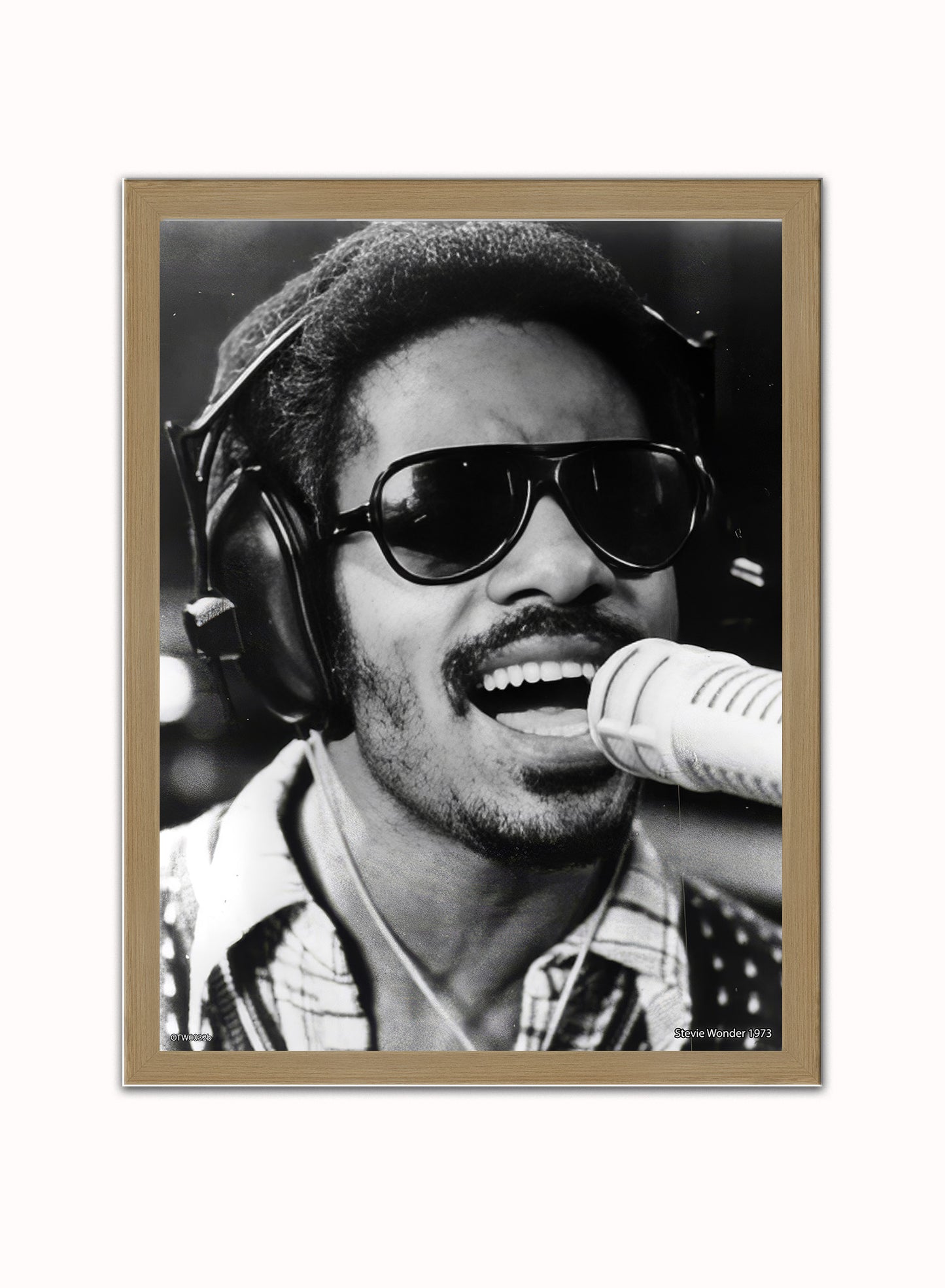 Stevie Wonder 1973 Poster Art Print 30x40m Vintage Poster Wall Art Print Light Wood