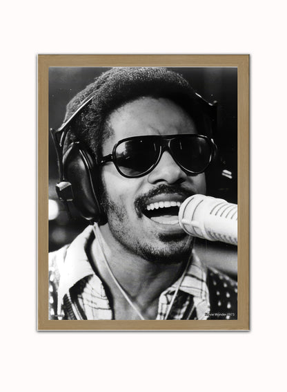 Stevie Wonder 1973 Poster Art Print 30x40m Vintage Poster Wall Art Print Light Wood