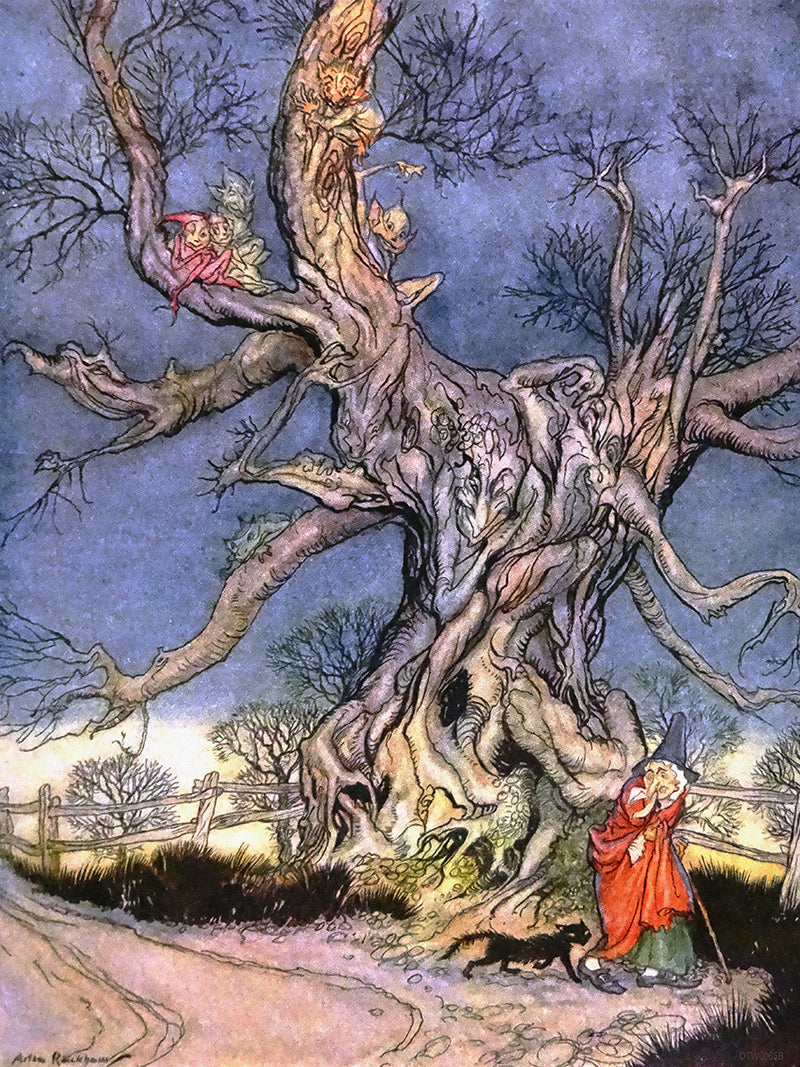 Sleepy Hollow "Major Andres Tree" Arthur Rackham Art Print 30x40cm