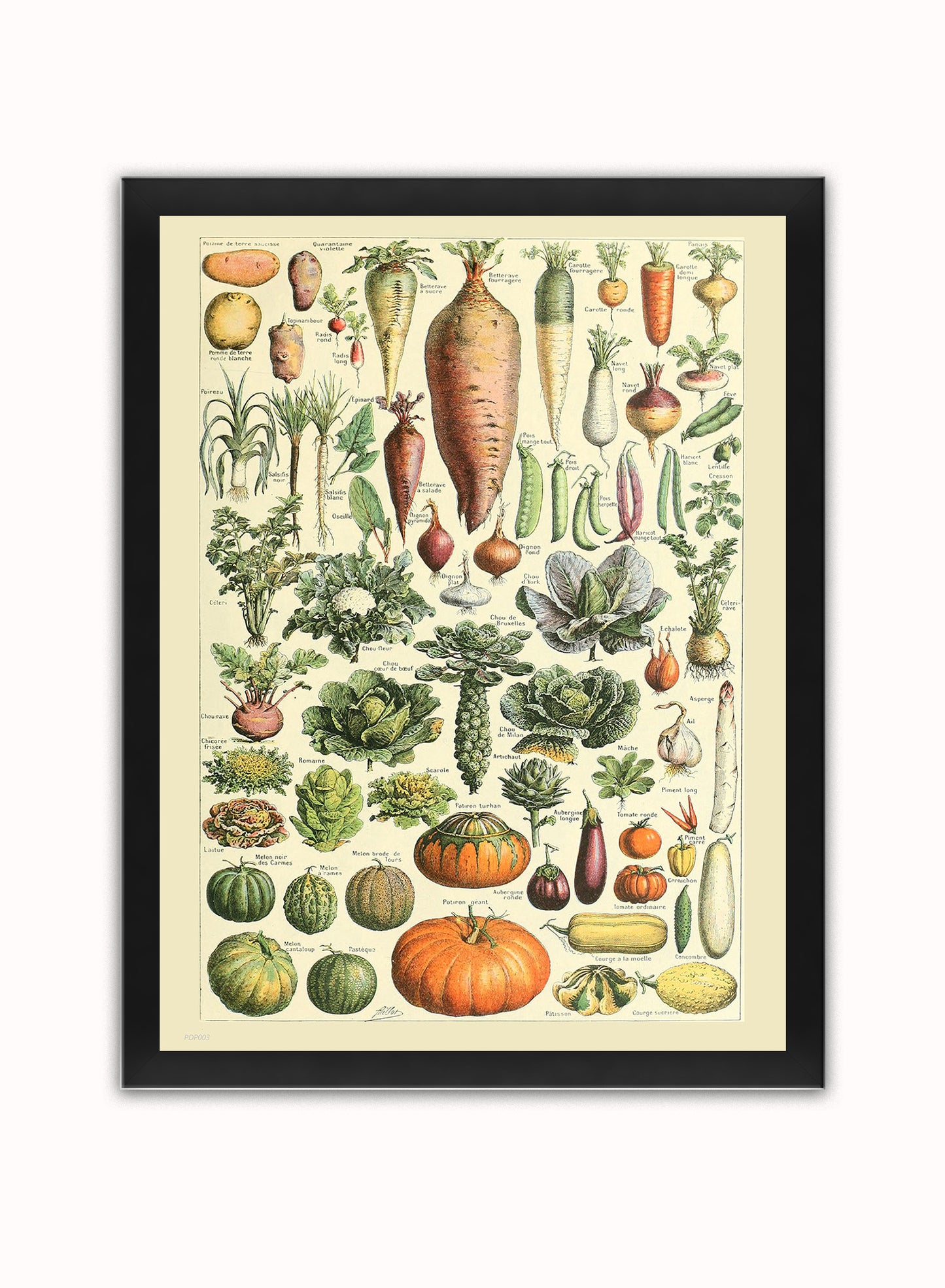 Vegtables Poster Art Print Vintage Poster Wall Art Print 30x40cm Black Frame
