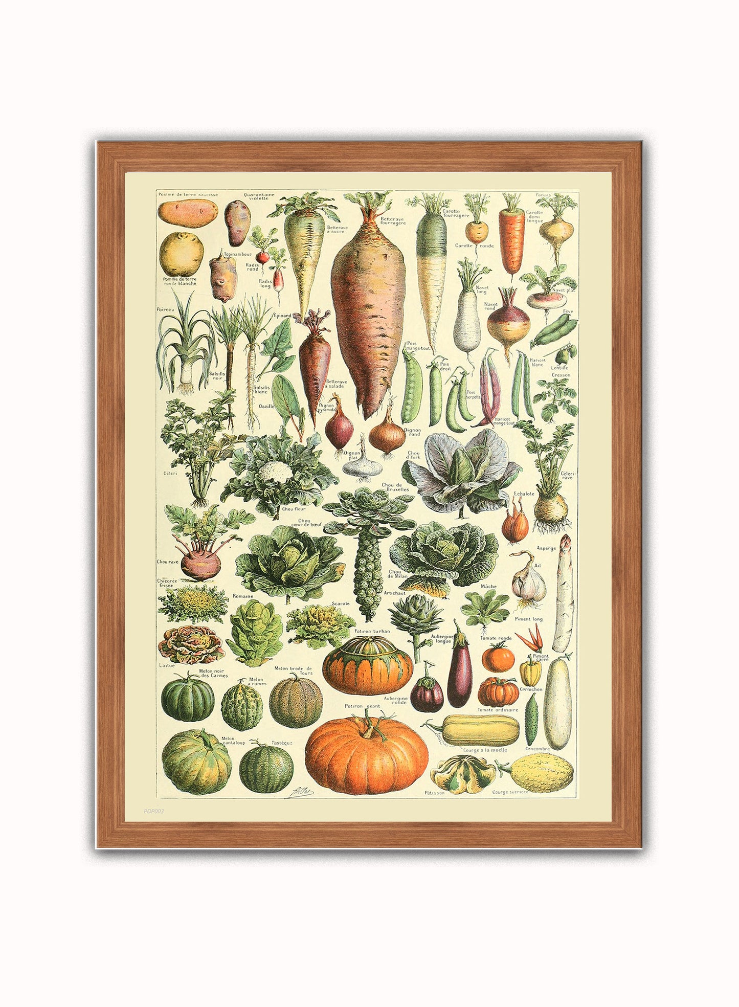 Vegtables Poster Art Print Vintage Poster Wall Art Print 30x40cm Dark Wood