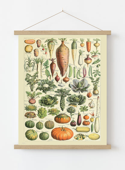 Vegtables Poster Art Print Vintage Poster Wall Art Print 30x40cm Hanger