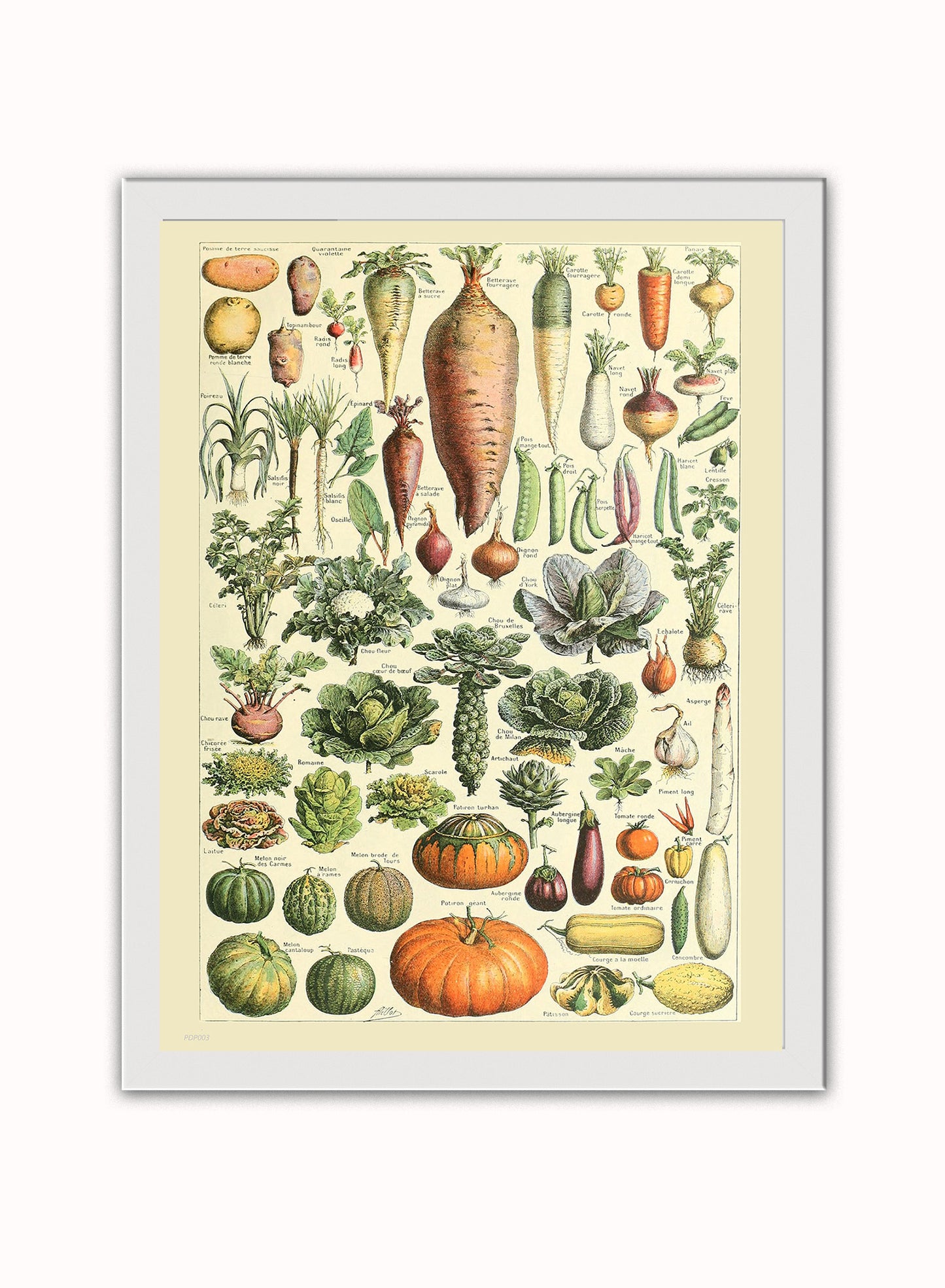 Vegtables Poster Art Print Vintage Poster Wall Art Print 30x40cm White Frame