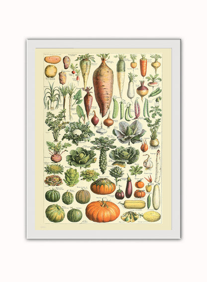 Vegtables Poster Art Print Vintage Poster Wall Art Print 30x40cm White Frame