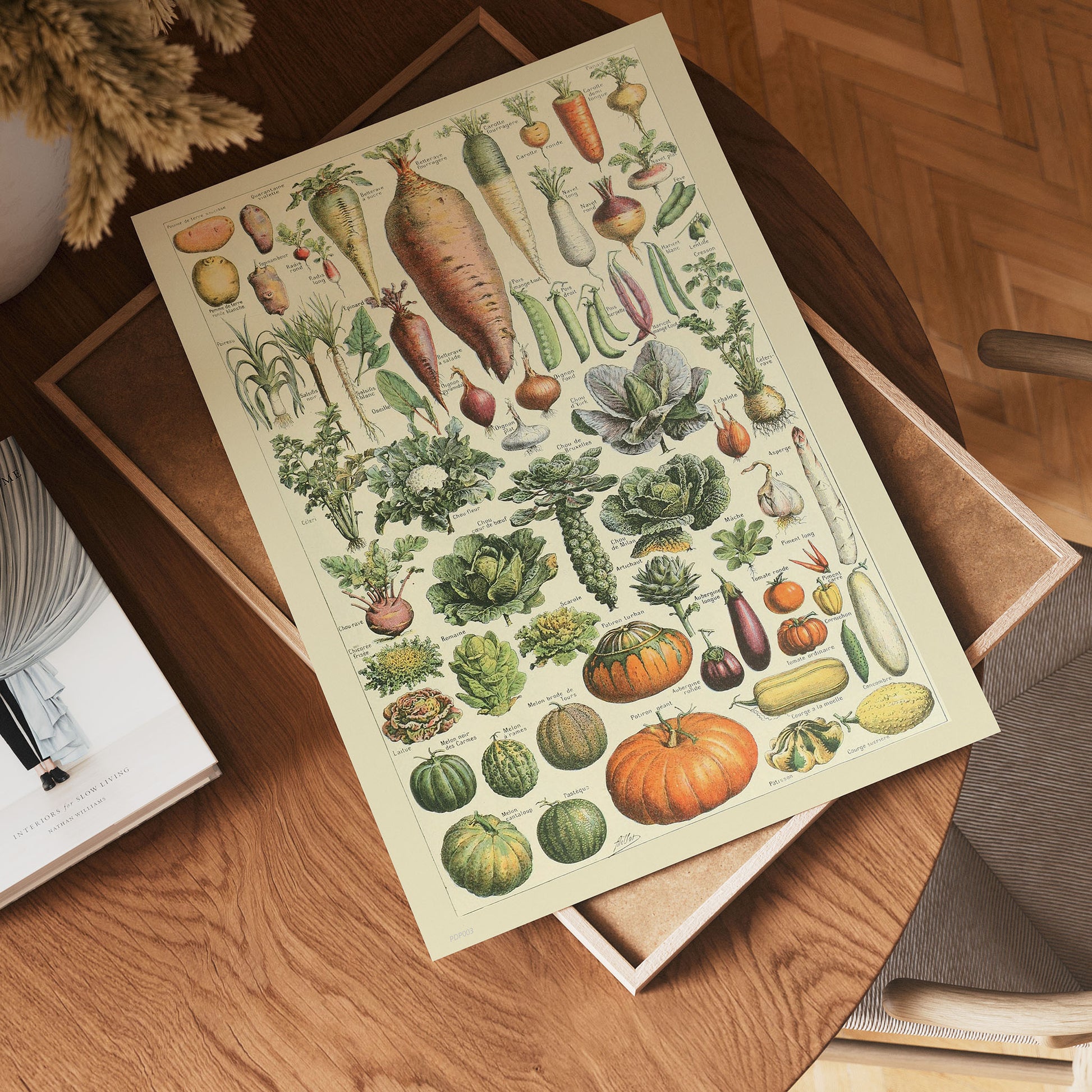 Vegtables Poster Art Print 30x40cm