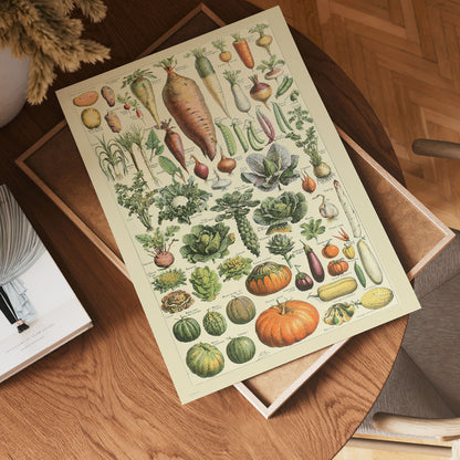 Vegtables Poster Art Print 30x40cm