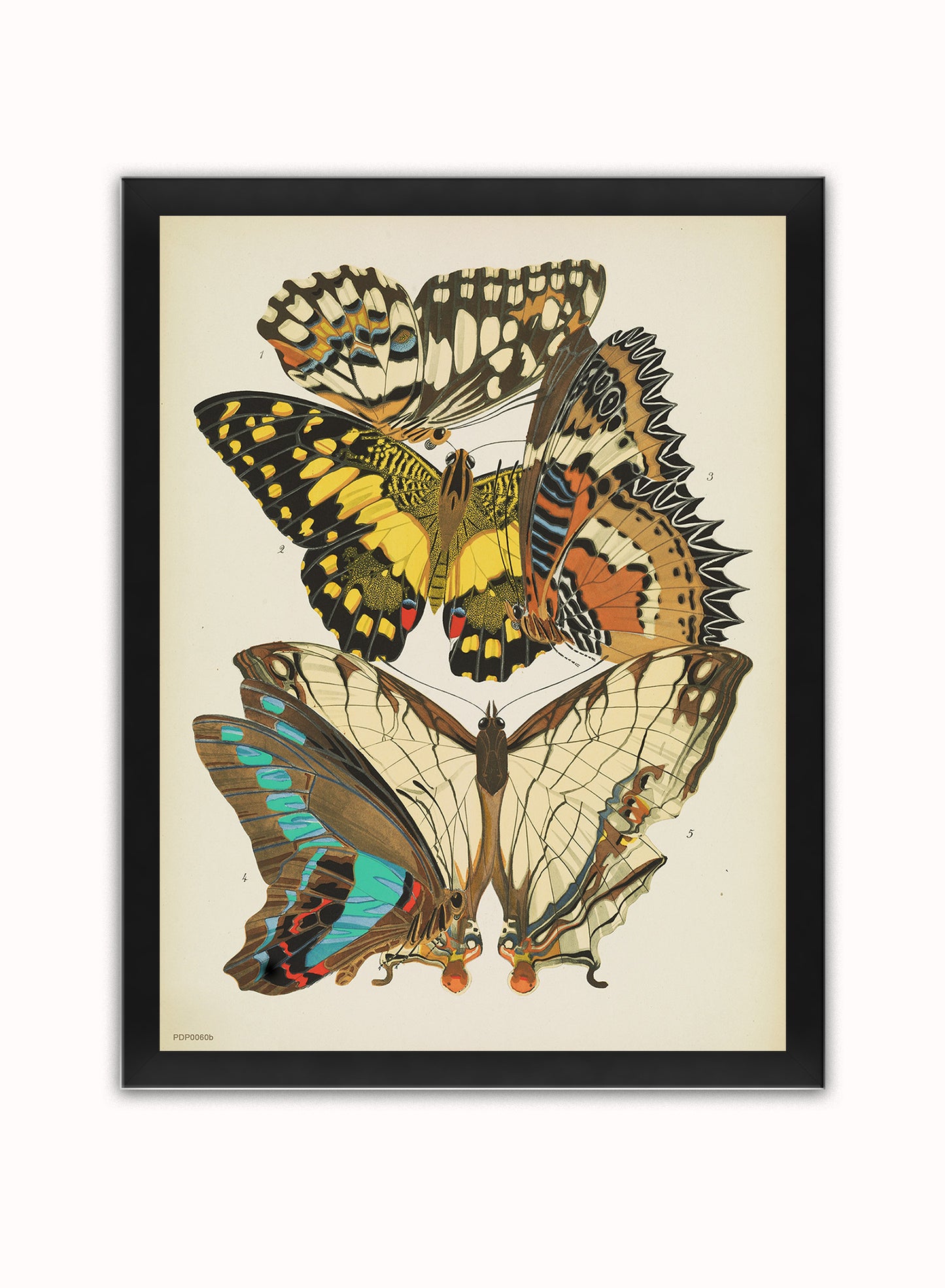 Plate 9, from Papillons, pub. 1925 by Émile-Allain Séguy Vintage Art Wall Art Print 30x40cm Black Frame