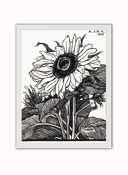 Botanical Art Print Print – Julie de Graag Botanical Wall Art 30x40cm White Frame