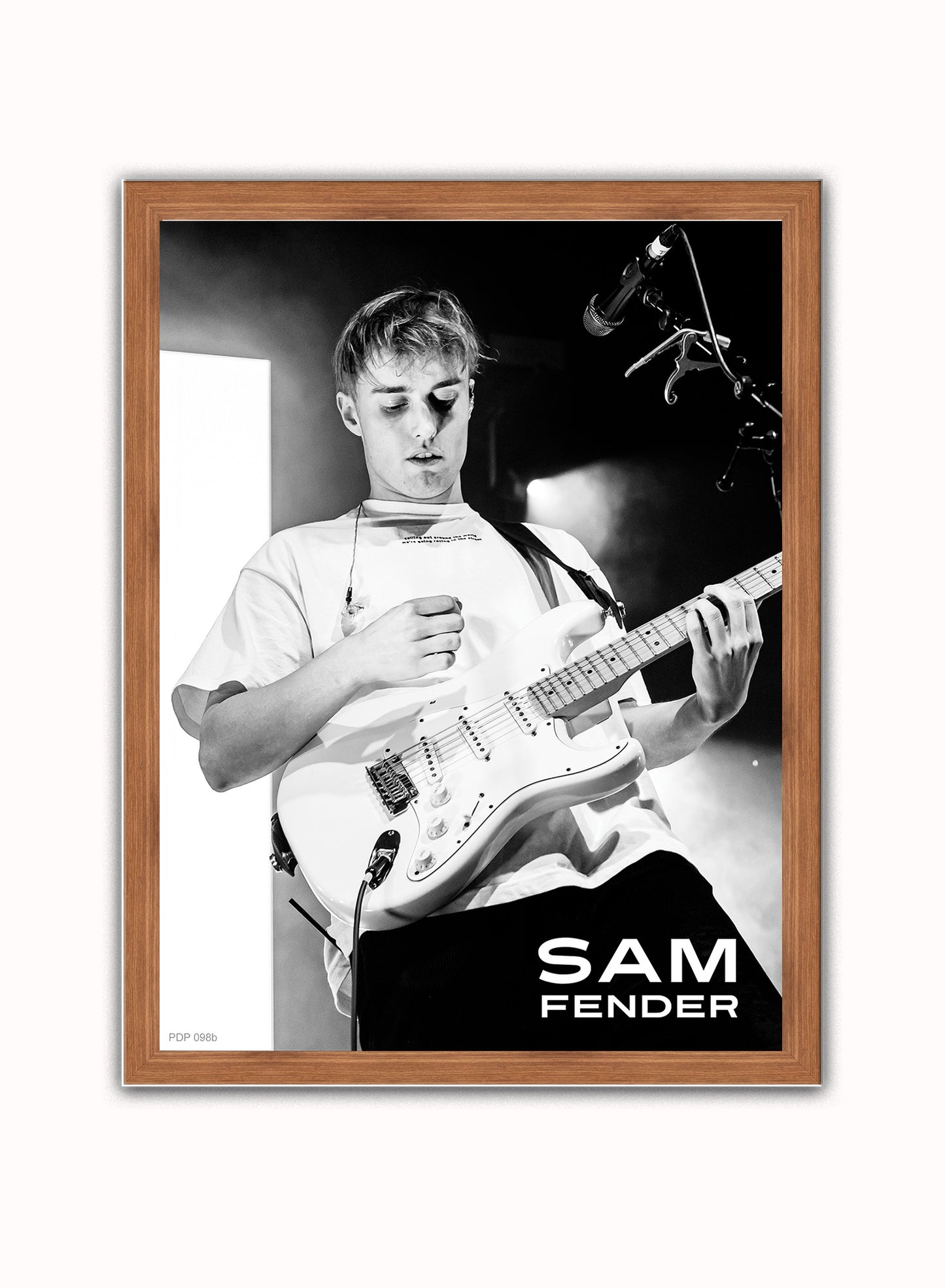 Sam Fender Live Poster Art Print 30x40m Vintage Poster Wall Art Print Dark Wood