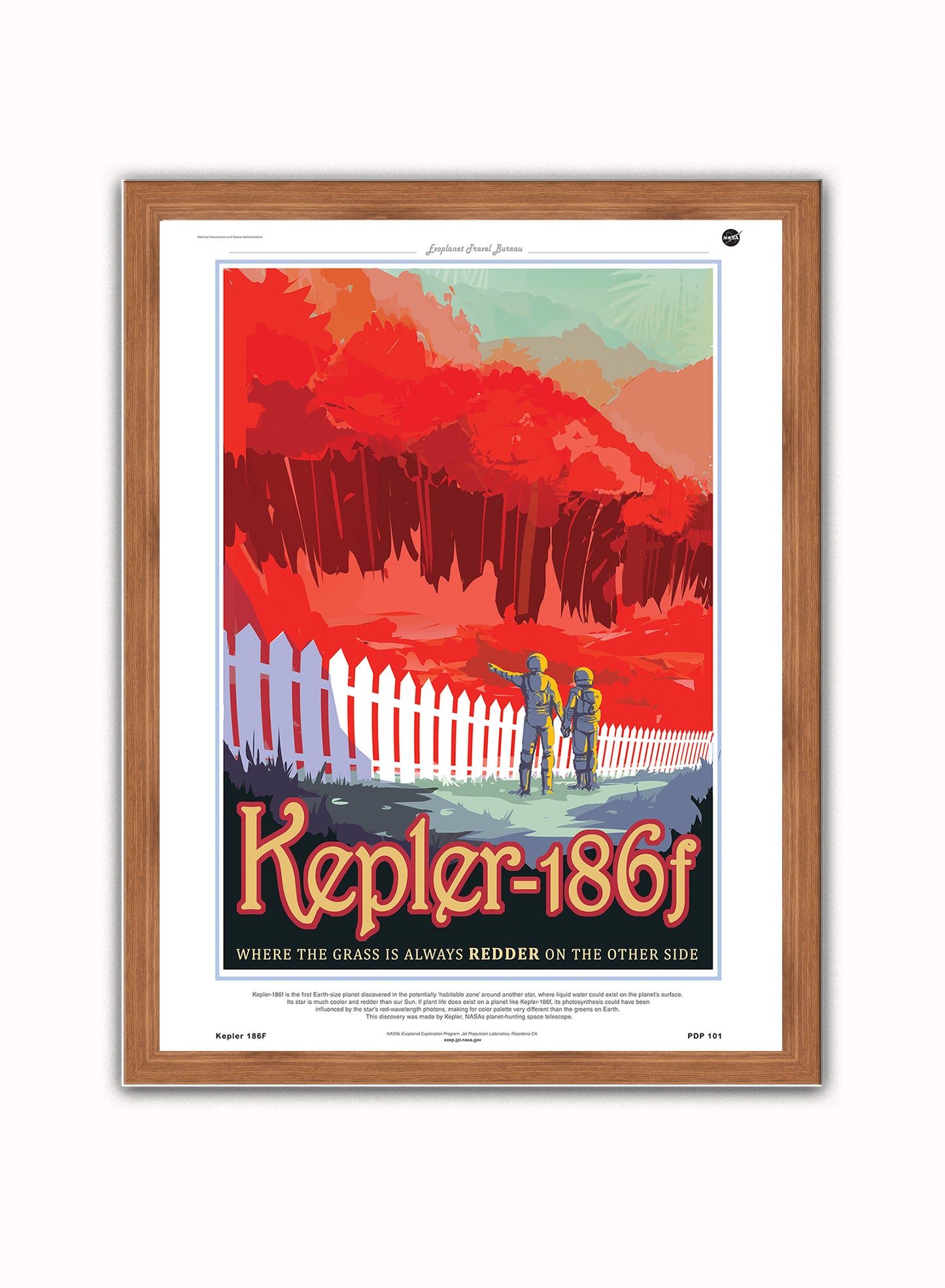 Kepler 186F Nasa Space exploration Vintage Poster Wall Art Print 30x40cm Dark Wood