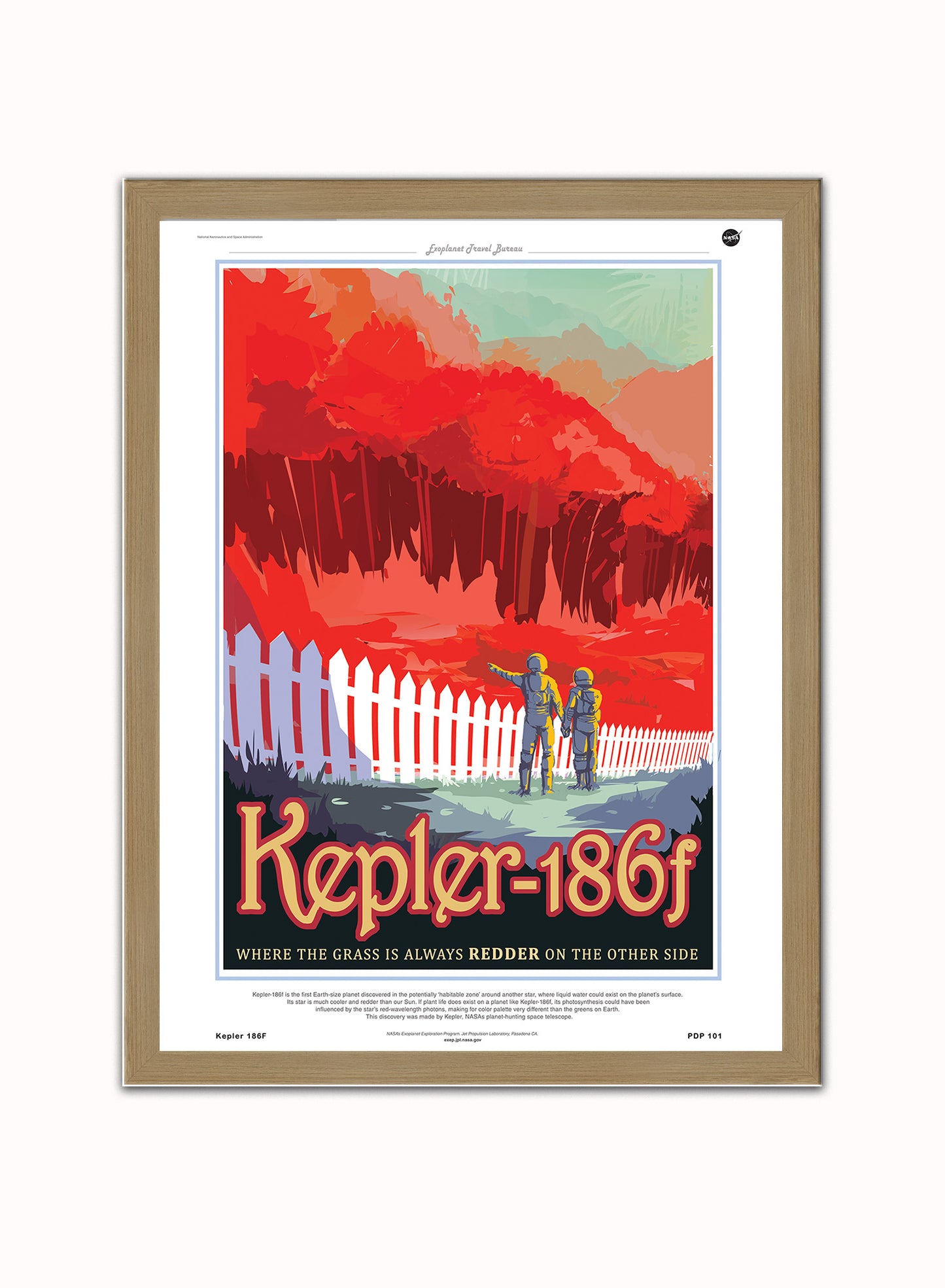 Kepler 186F Nasa Space exploration Vintage Poster Wall Art Print 30x40cm Light Wood