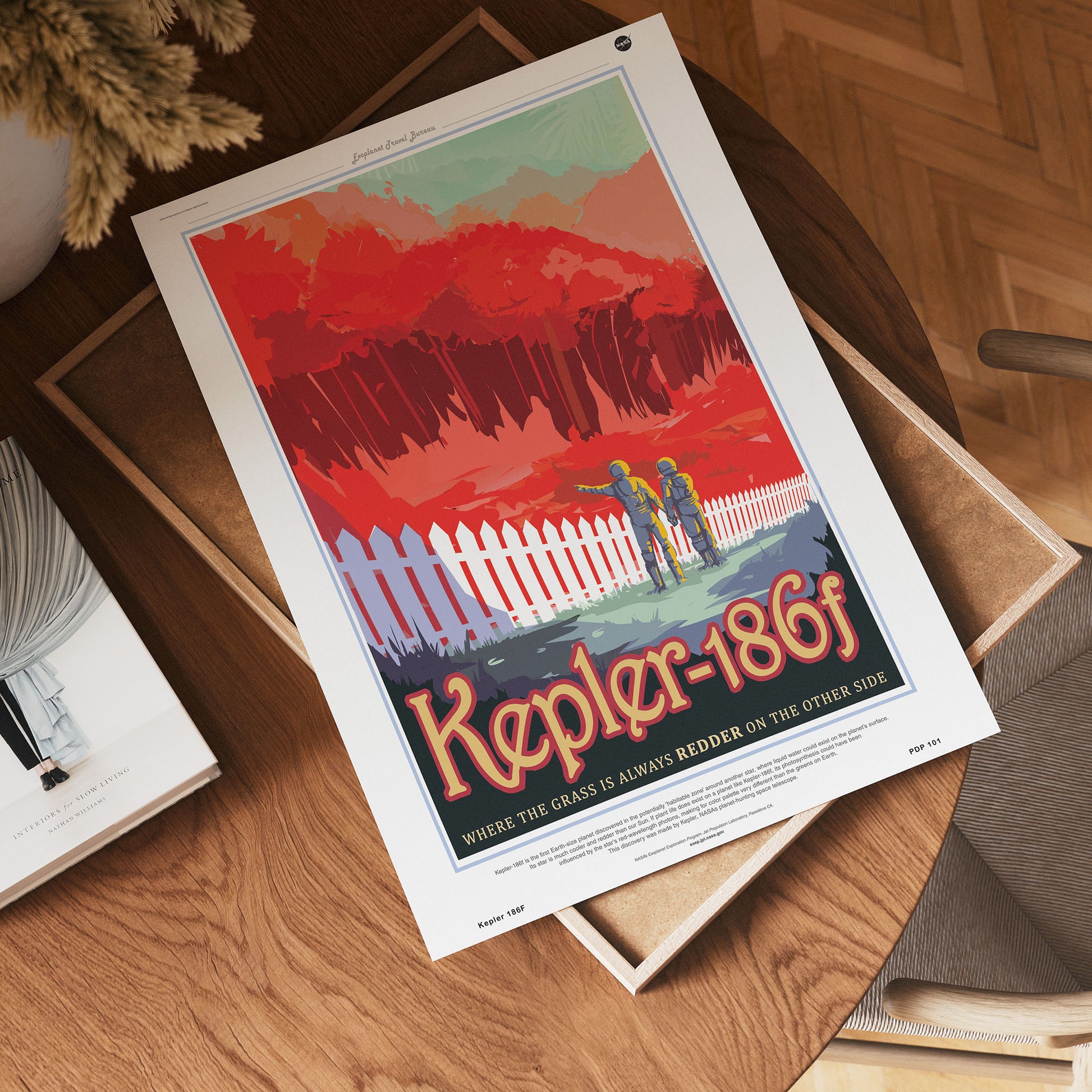 Kepler 186F Nasa Space exploration 30x40cm Art Poster Print