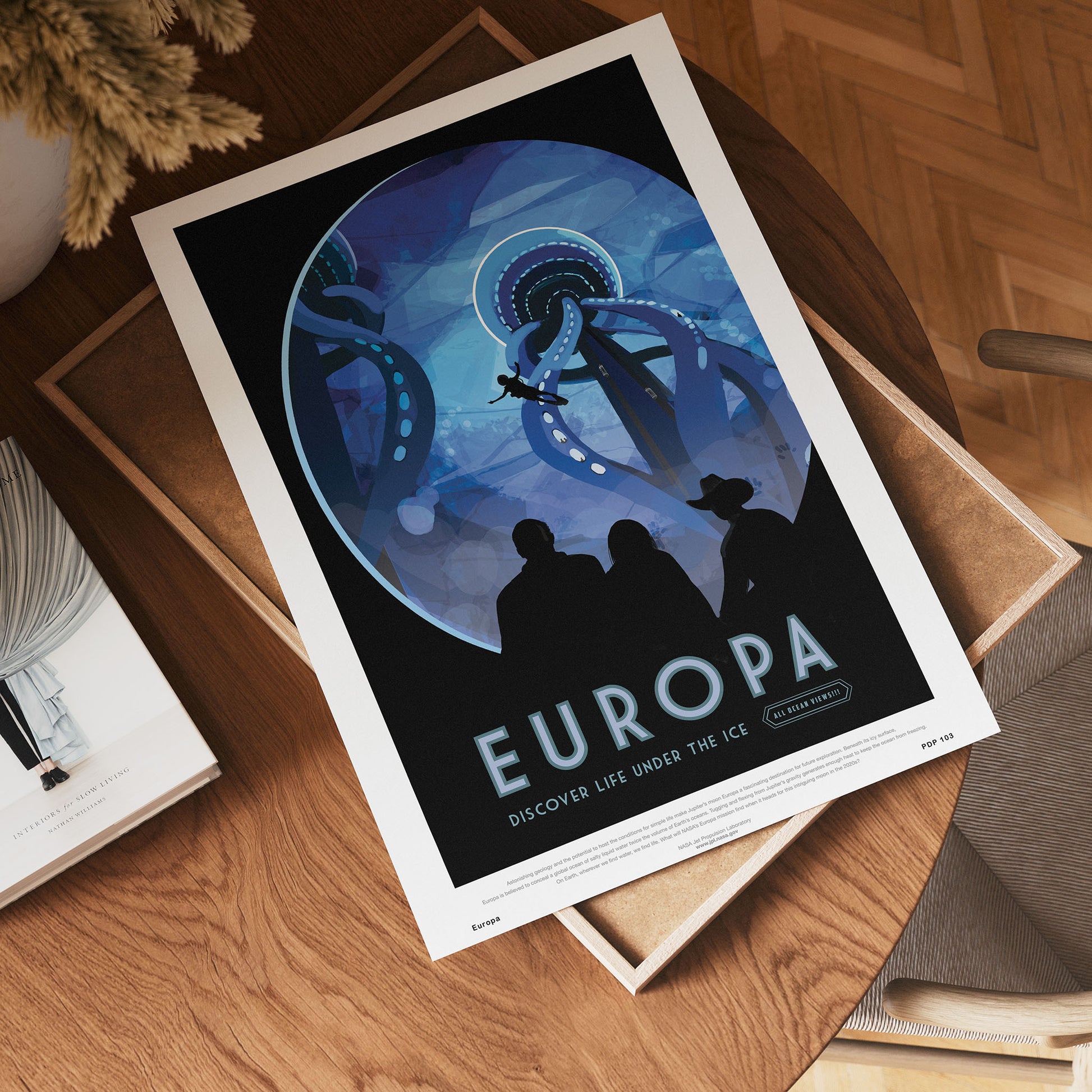 Europa Nasa Space exploration 30x40cm Art Poster Print