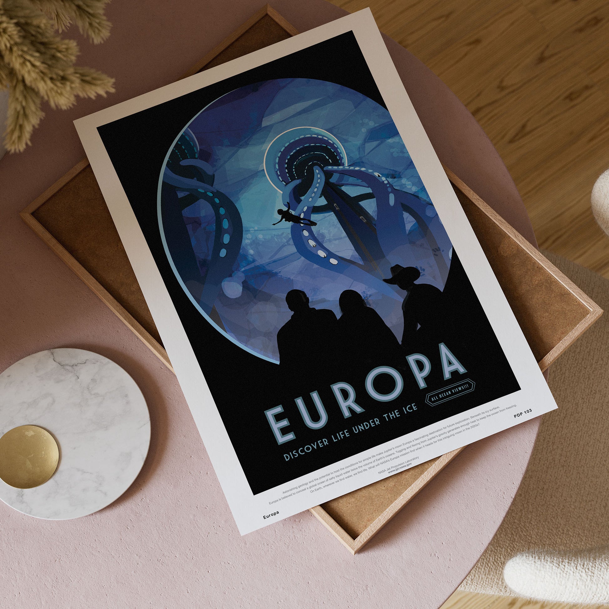 Europa Nasa Space exploration 30x40cm Art Poster Print