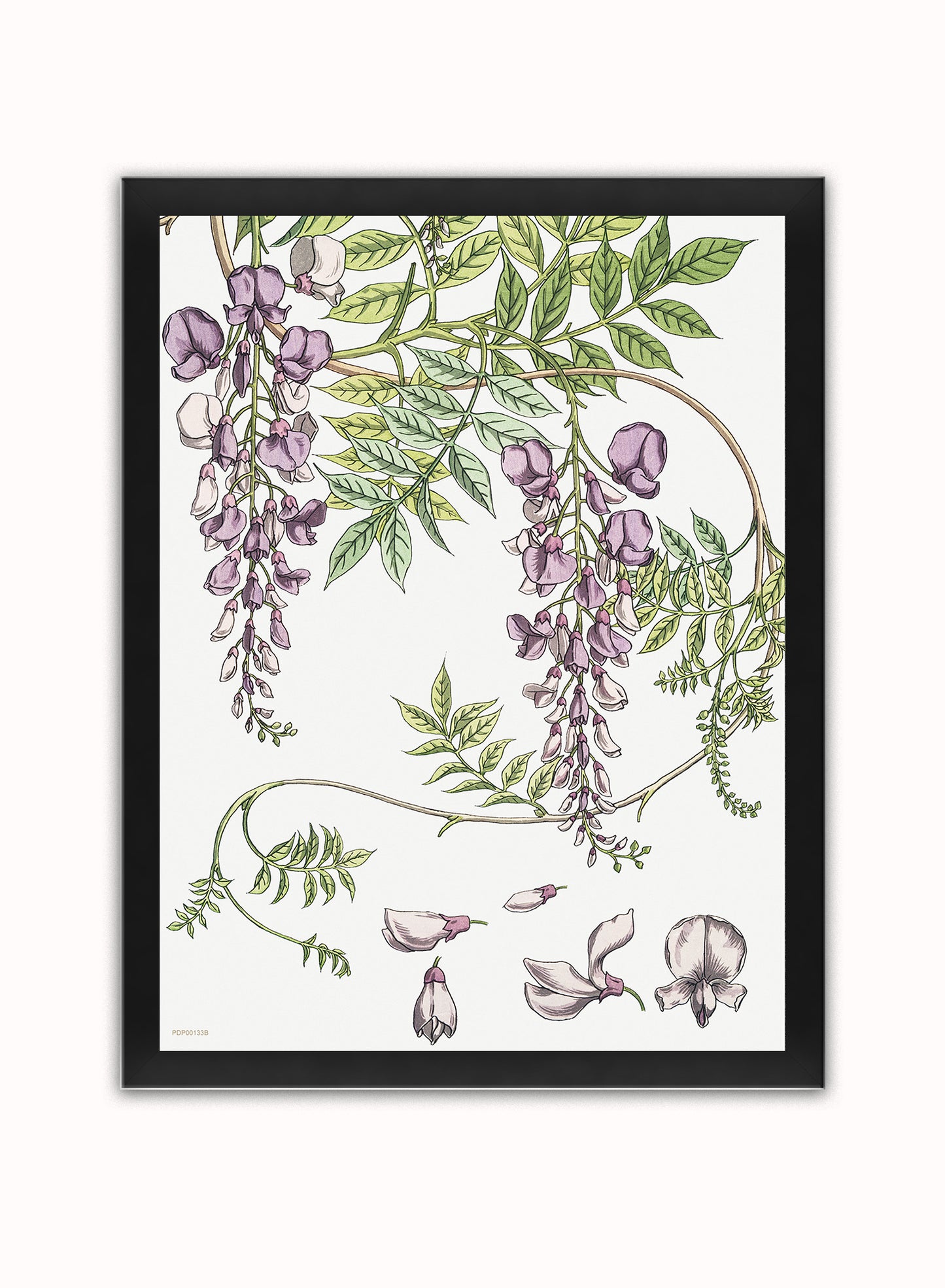 Wisteria by Maurice Pillard Verneuil Vintage Poster Print – Maurice Pillard Vereuil Poster Vintage Poster Wall Art 30x40cm Black Frame