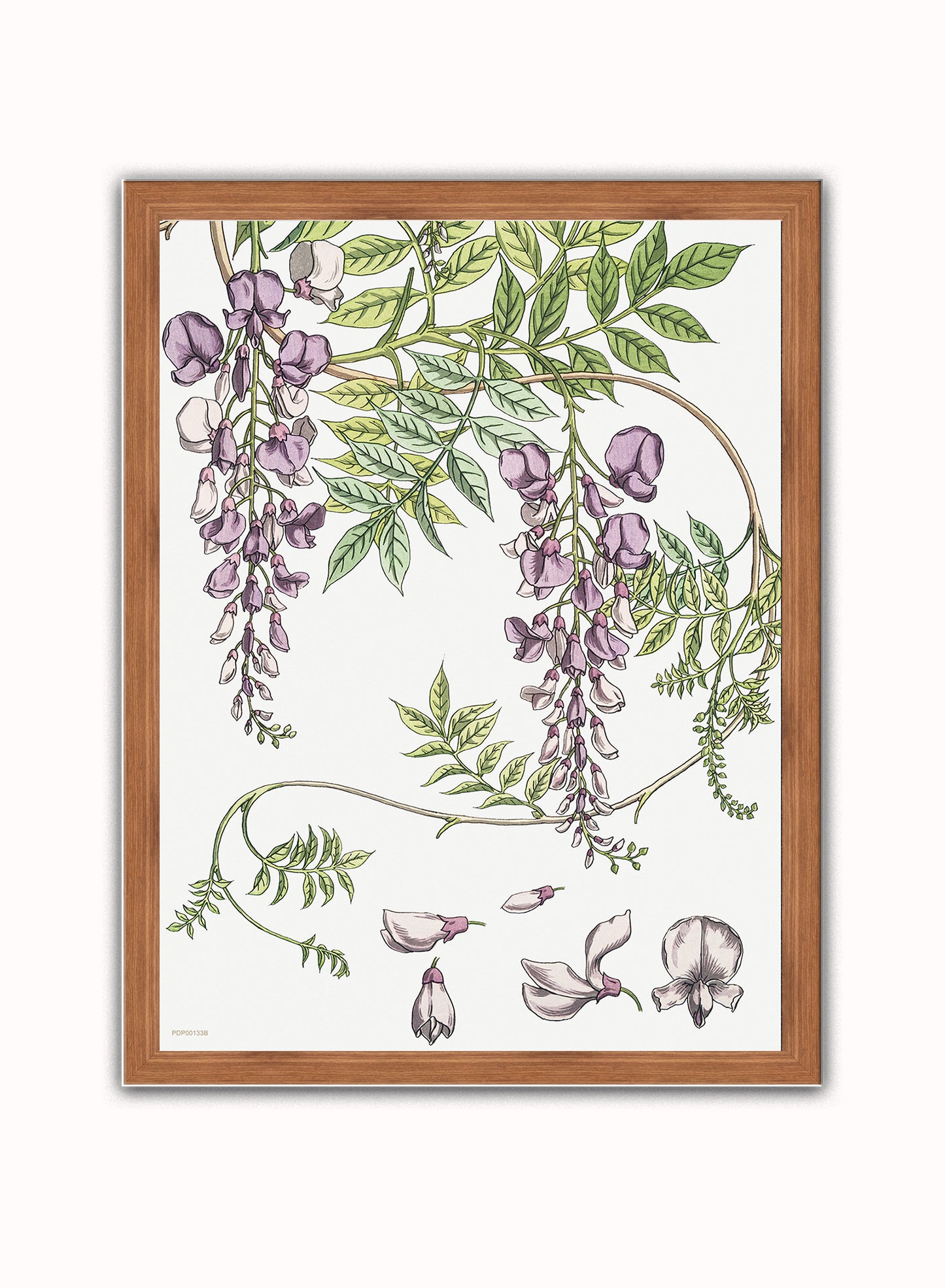 Wisteria by Maurice Pillard Verneuil Vintage Poster Print – Maurice Pillard Vereuil Poster Vintage Poster Wall Art 30x40cm Dark Wood