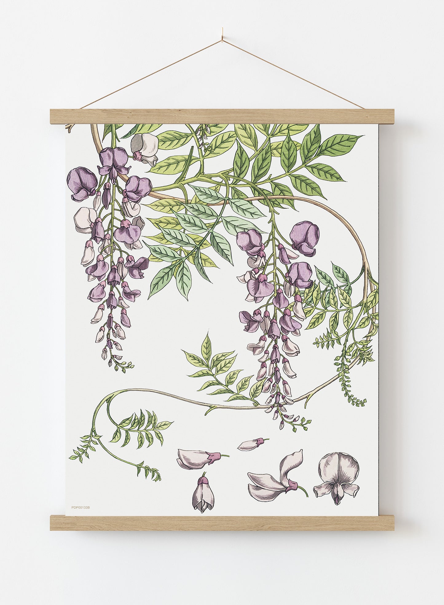 Wisteria by Maurice Pillard Verneuil Vintage Poster Print – Maurice Pillard Vereuil Poster Vintage Poster Wall Art 30x40cm Hanger