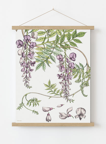 Wisteria by Maurice Pillard Verneuil Vintage Poster Print – Maurice Pillard Vereuil Poster Vintage Poster Wall Art 30x40cm Hanger