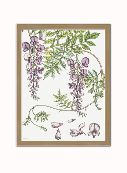 Wisteria by Maurice Pillard Verneuil Vintage Poster Print – Maurice Pillard Vereuil Poster Vintage Poster Wall Art 30x40cm Light Wood