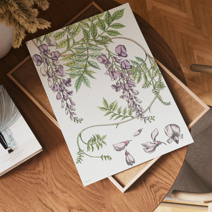 Wisteria by Maurice Pillard Verneuil Vinatge Poster 30x40cm Art Print